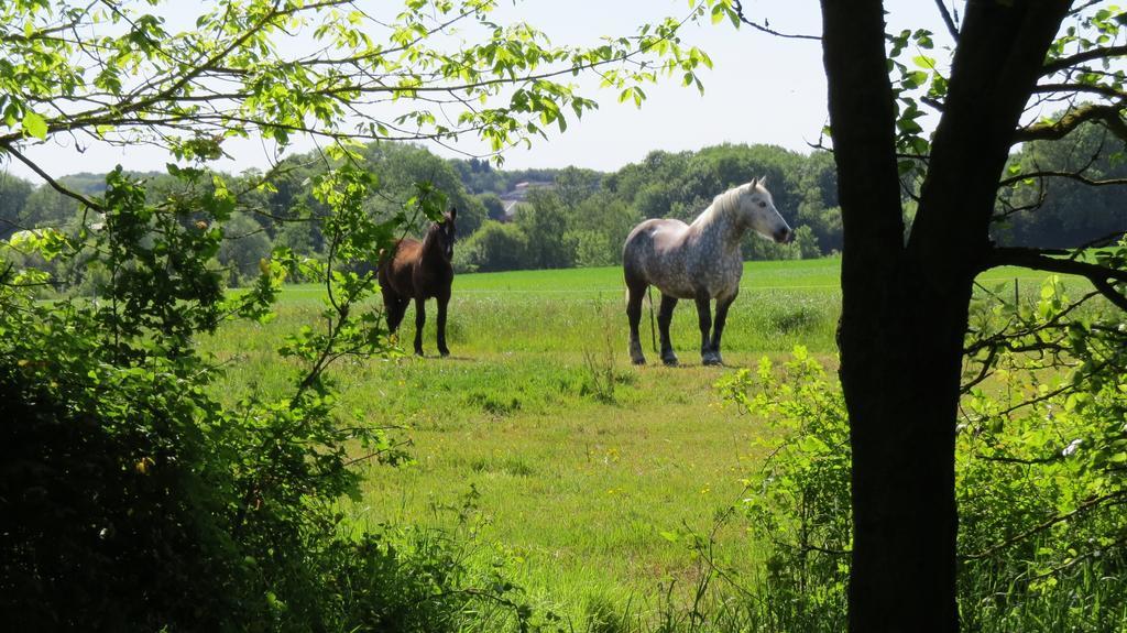 Holiday home Relais Du Doulay